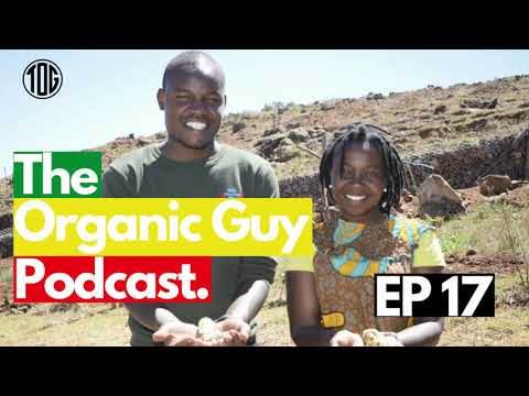 Why Is There A Buzz About Organic Farming? w/ Mrs. Sylvia Kuria | Ep 017