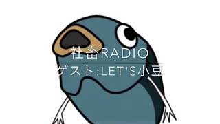【社畜radio】今週のお便りに返信していきます。社畜の皆様コメントいつもありがとうございます。