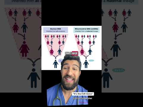 “It’s the EVE Gene” #colour