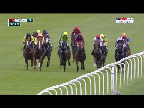 How on earth did this horse win?!