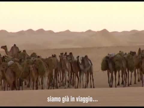 The old salt caravans of Niger