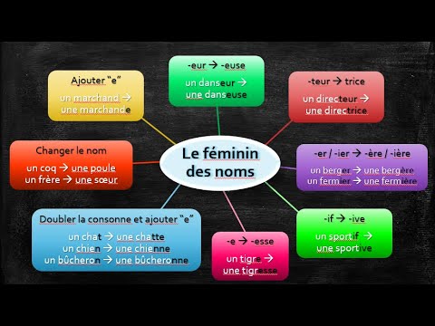 Le féminin des noms