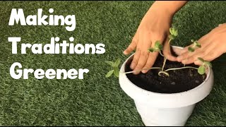 Rakhi Planting Video 2022