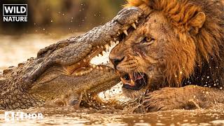 SAVANA BRUTAL — Animais Que Se Recusam a Morrer | EPISÓDIO COMPLETO | Documentário Animal