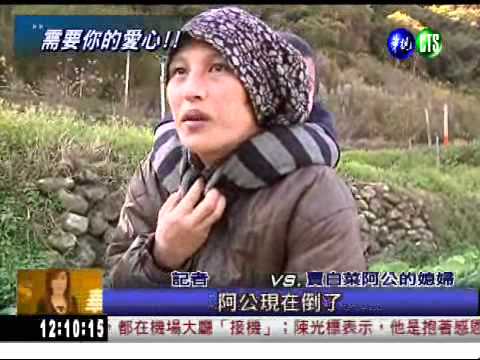 阿公走了! 8孫賣白菜籌喪葬費