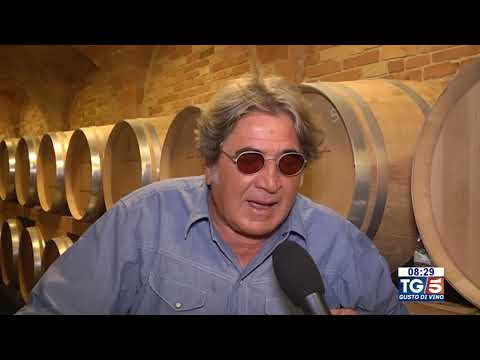 Stefano Antonucci al TG5 - Pathos