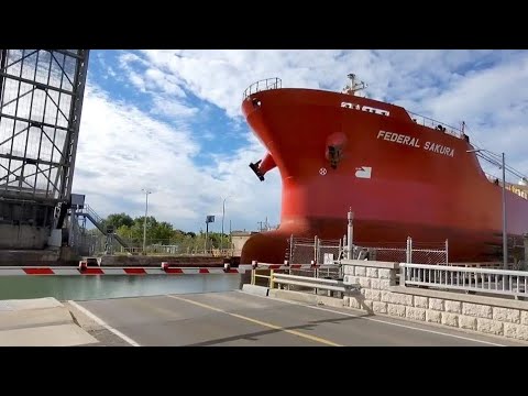 Federal Sakura and Algosea ships crossing Welland Canal Bridge 3A (Carlton St./Lock 2)
