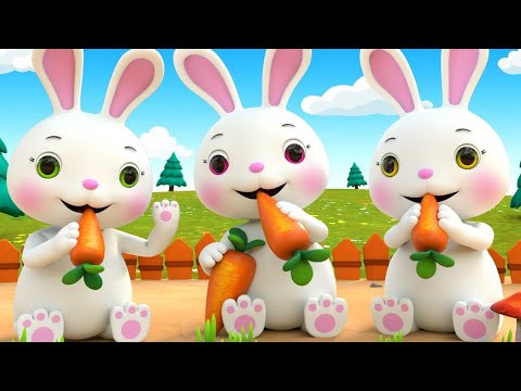 Chú thỏ con, Thỏ đi tắm nắng, Liên khúc thỏ con, Nhạc thiếu nhi remix sôi động