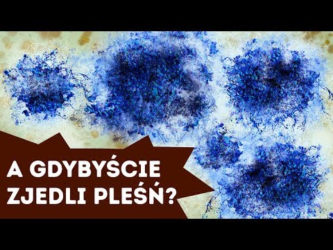 Co się stanie, jeśli przez przypadek zjecie pleśń?