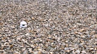 Liquid Sky - Imprecis