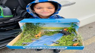 Grassland Habitat Diorama Project By Shahadat | Kindergarten Habitat School Project Using Shoe Box