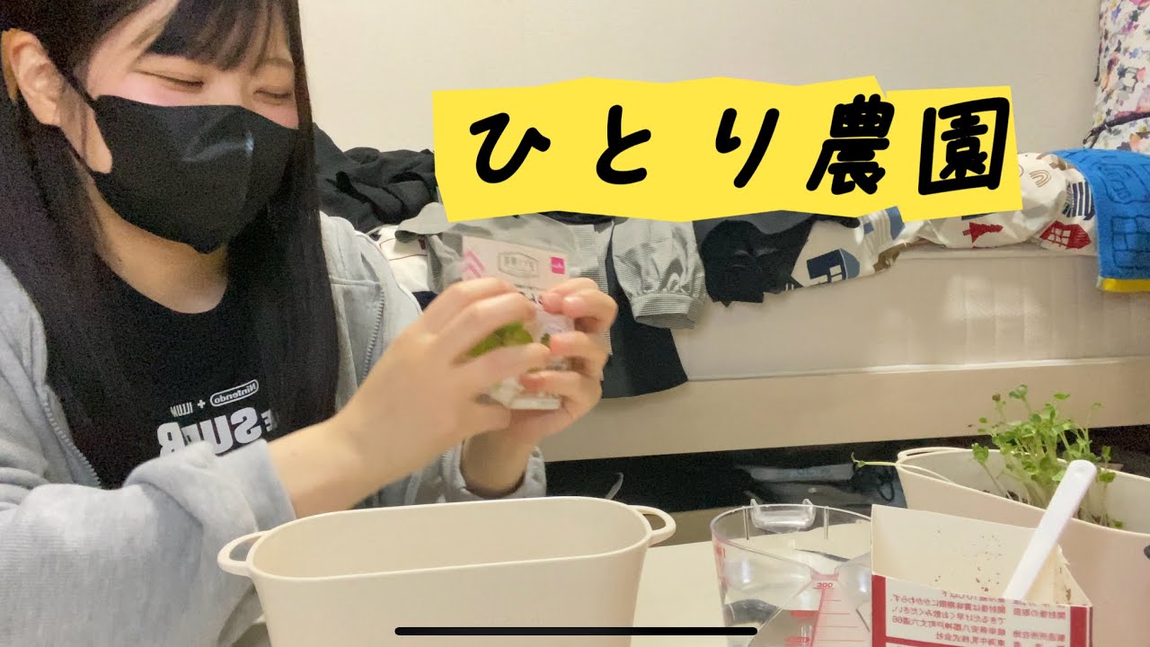 【種】ひとり農園【植えてみた】