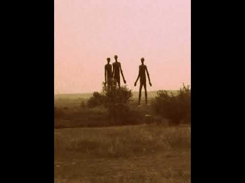 Tommy Dockerz, Bill Shakes, Lee Scott, Black Josh & Bang On! - CULT SAG ONE