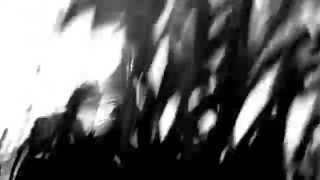 High aura'd with Angel Olsen - RED ROCKS