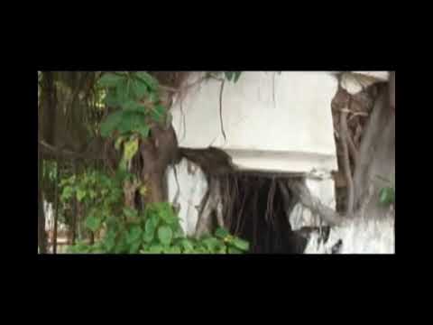 Sannelo - Ku Unle (Não Chore)