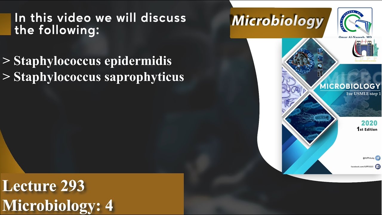 Staphylococcus epidermidis | Staphylococcus saprophyticus