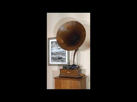 "Avalon" by Harry Raderman's Jazz Orchestra on Edison Blue Amberol cylinder #4182