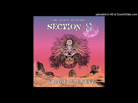 Section 8 & Virtual Light - Slack Attack