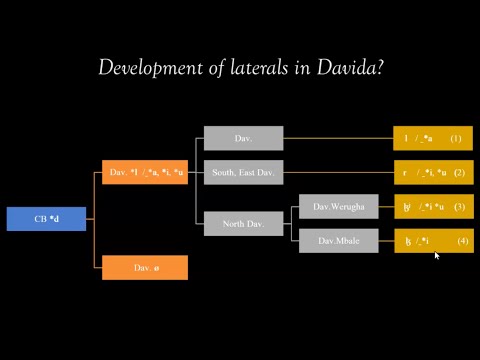 RVN Webinar Series - Lateral Obstruents in the Taita Hills: An areal-historical perspective