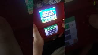 Mario DS cheat codes
