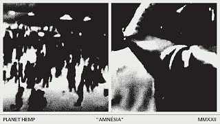 AMNÉSIA Lyrics English Translation
