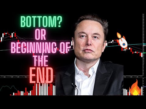 Billionaire Investor calls for Bottom on Tesla, or Is Elon Musk and Tesla about to tank