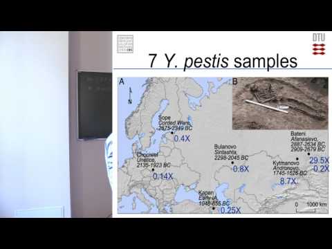 Reconstructing ancient pathogens - discovery of Yersinia pestis in Eurasia 5,000 Years Ago