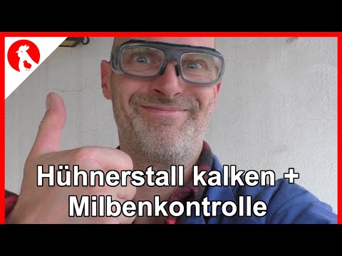 F166 Major cleaning of the chicken coop - lime, mucking out, oiling and mite control, cleaning