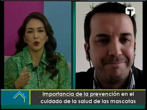 Importancia de la prevención en el cuidado de la salud de las mascotas