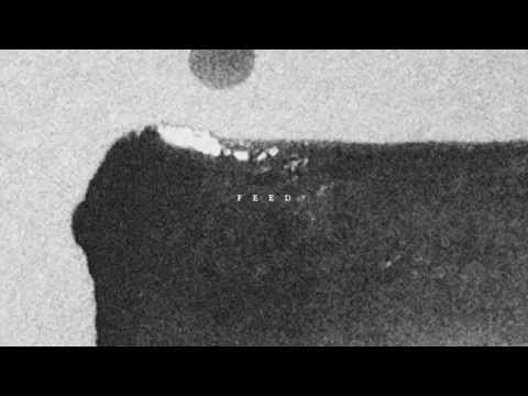 The Acid - Feed (Official Audio)