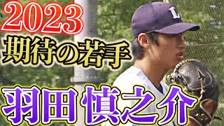 [問題] 日本19歲以下有林昱珉、文東珠這類天賦極高的投手嗎？