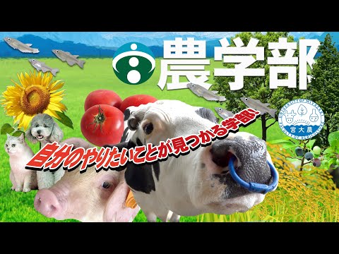 【自分のやりたいことが見つかる学部】宮崎大学農学部