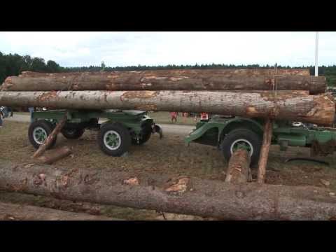 Holzstämme verladen anno dazumal mit Hans Bächli (Hochdeutsch)