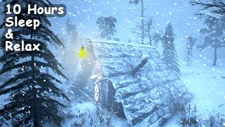 HEAVY BLIZZARD & Howling Wind Sounds for Sleeping. Snowstorm Ambience. Howling Wind & Blowing Snow