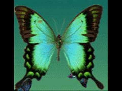 Video thumbnail for I Need You