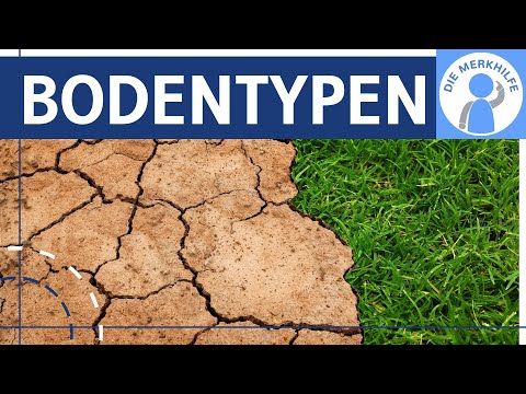 Bodentypen - Bodenhorizonte & Entstehung einfach erklärt - Braunerde, Podsol, Tschernosem, Ferralsol