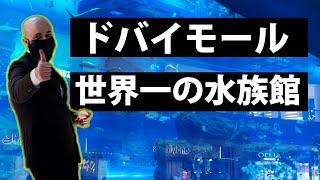 【ドバイモール】世界最大のショッピングモールが最高だったw 【海外Vlog】