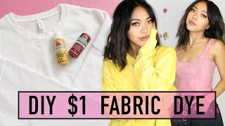 HOW TO DYE CLOTHES USING $1 ACRYLIC PAINT! | HOW TO | Nava Rose