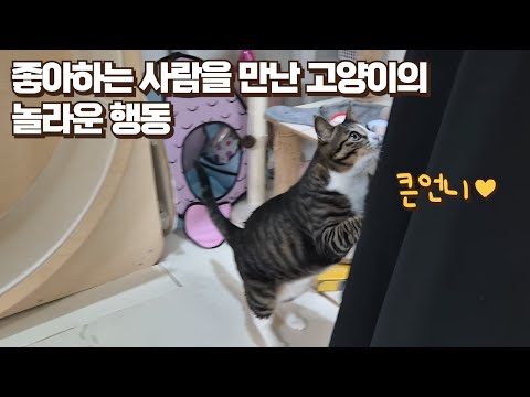 큰언니 보고 싶어서 엉엉 울었는데 눈앞에 나타나자 보름이가 보인 놀라운 행동!