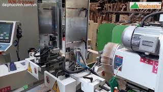 |Woodmaster| Máy Làm Mộng Dương 2 Đầu CNC Fully Auto WM-D200BF