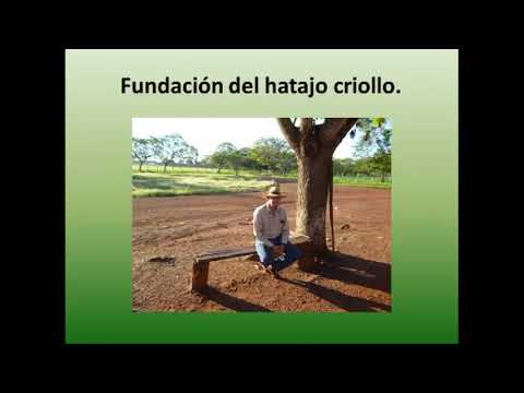 Experiencias en la Fundación de Hatajos de Caballo Criollo Venezolano en el Estado Cojedes