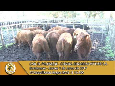 01-06-17 Venta de Vaq. Angus MAS - Cab. El Palenque - Bordenave.
