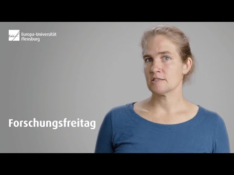Forschungsschwerpunkt Energiesuffizienz