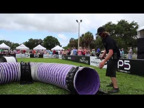 2013 IDC Eastern Regionals - Behind the Scenes at St. Petersburg