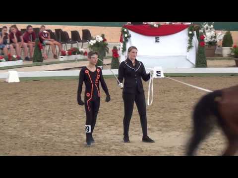 Junior Vaulting WM 2017 - Swiss Team Sven Ris - Free Style Round1