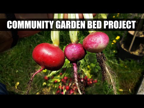 Why Raised Garden Beds Are Better