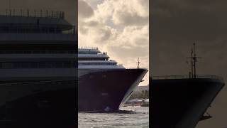 Ritz-Carlton Ilma 🛳️ #cruise #travel #vacation #luxury #travelvlog #shorts #youtubeshorts #fun #yt