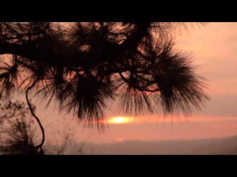 Markus Krunegård - Everybody Hurts (Official Video)