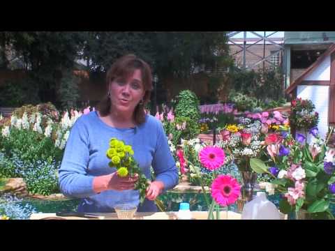 Caring for Fresh-Cut Flowers - Food & Home - ModernMom