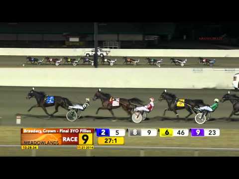 Breeders Crown 3YO Filly Trot Final - Shake It Cerry - November 21, 2014